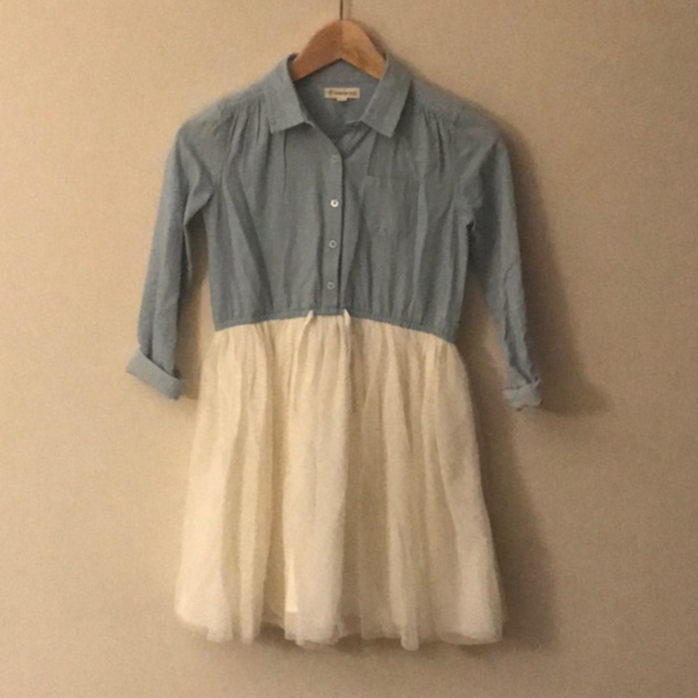 Fun Chambray and Tulle dress